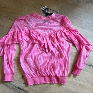 Sister Jane Sheer Pink Ruffle Blouse